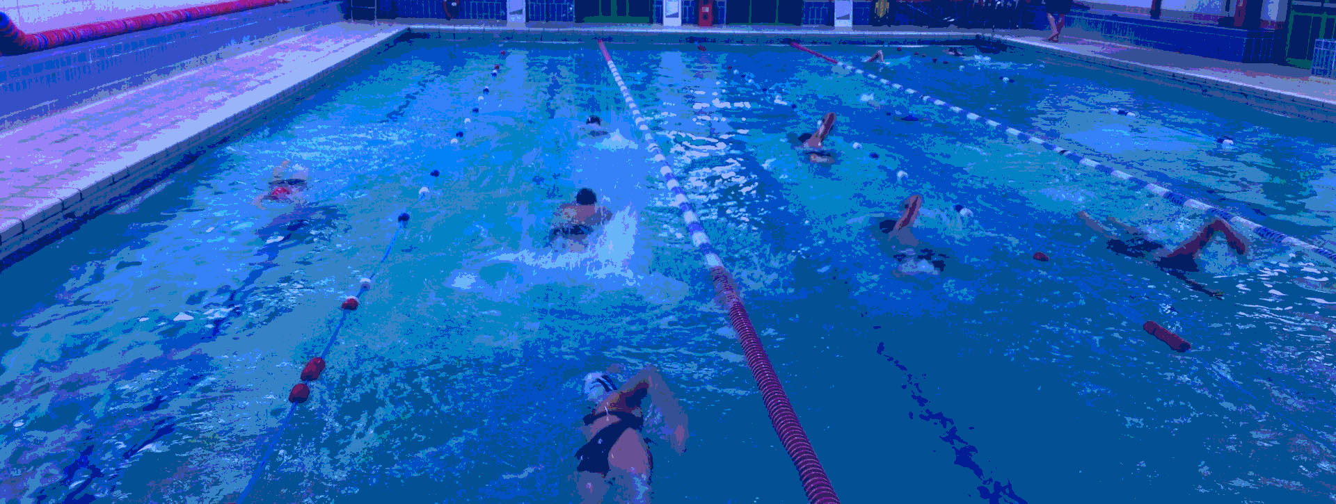 Masters Swimming training Chiswick,Barnes, Acton, and adult swim fitness sessions 
